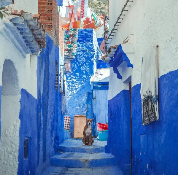 Excursion from Fez to Chefchaouen