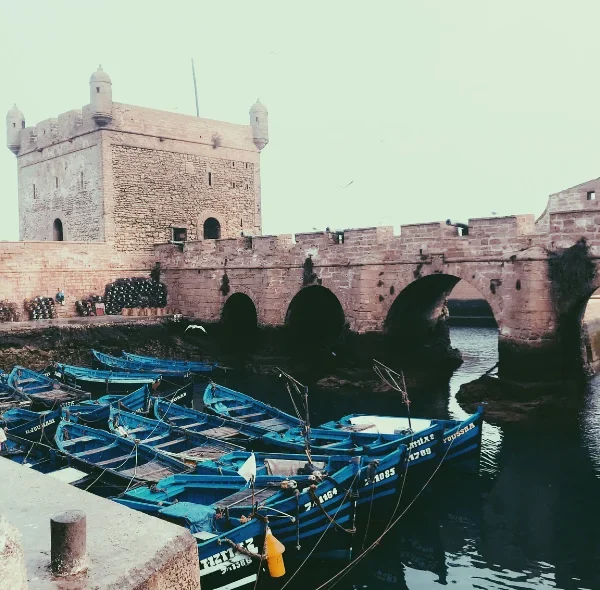 Excursion to Essaouira