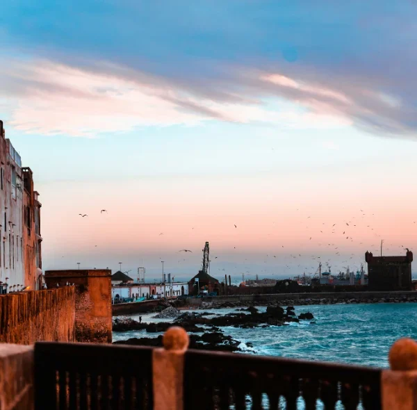 Excursion to Essaouira