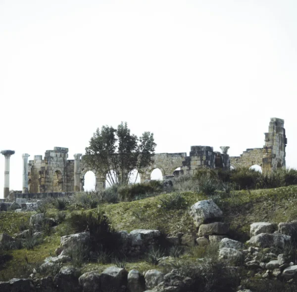 Excursion from Fez to Volubilis