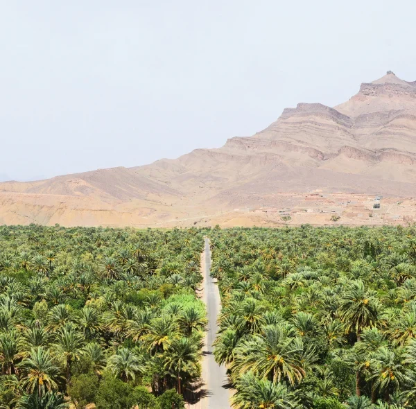 Ouarzazate Excursion