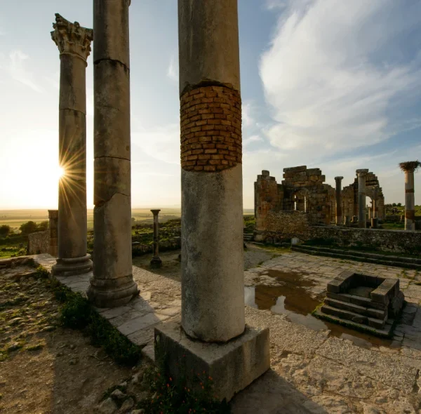 Excursion from Fez to Volubilis