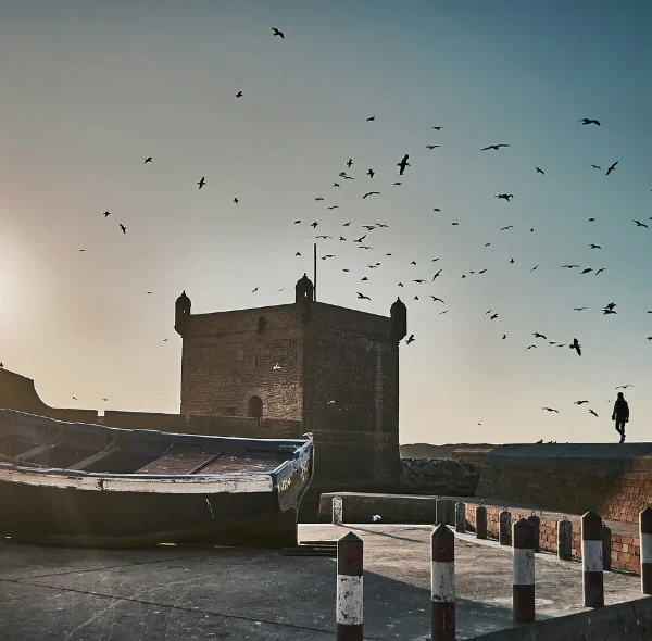 Excursion to Essaouira