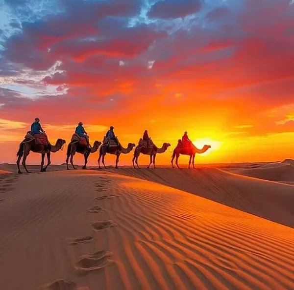 Camel Trek