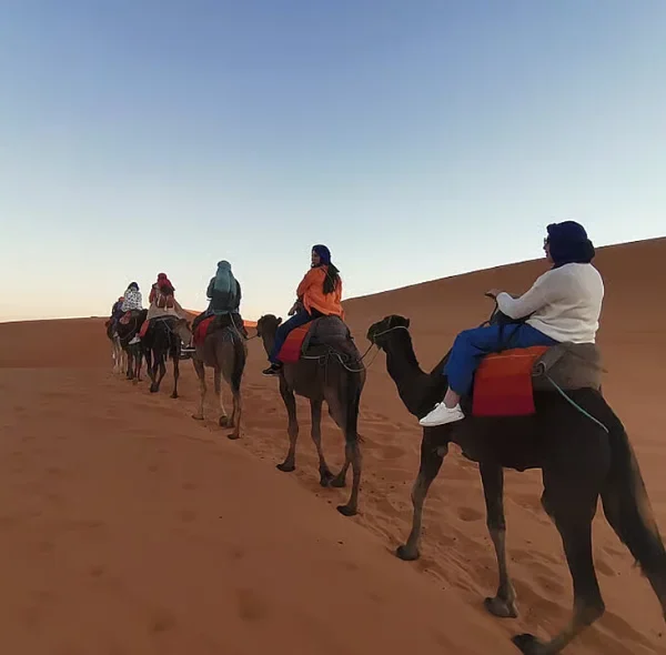 Camel Trek